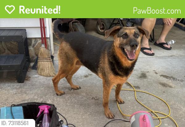 Reunited Female Dog last seen Buck Ford Rd, Riverhill Drive Shelby NC, Cleveland County, NC 28152