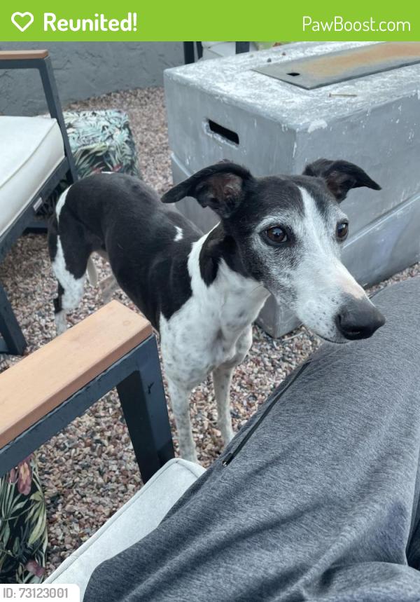 Reunited Female Dog last seen W Quincy Avenue and S Kalamath Street, Englewood CO, Englewood, CO 80110