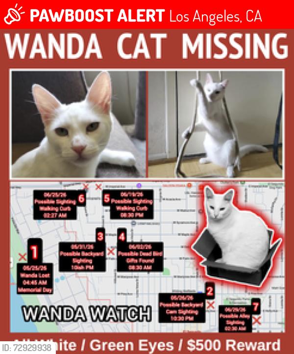 Lost Female Cat last seen El Segundo, Los Angeles, CA 90045