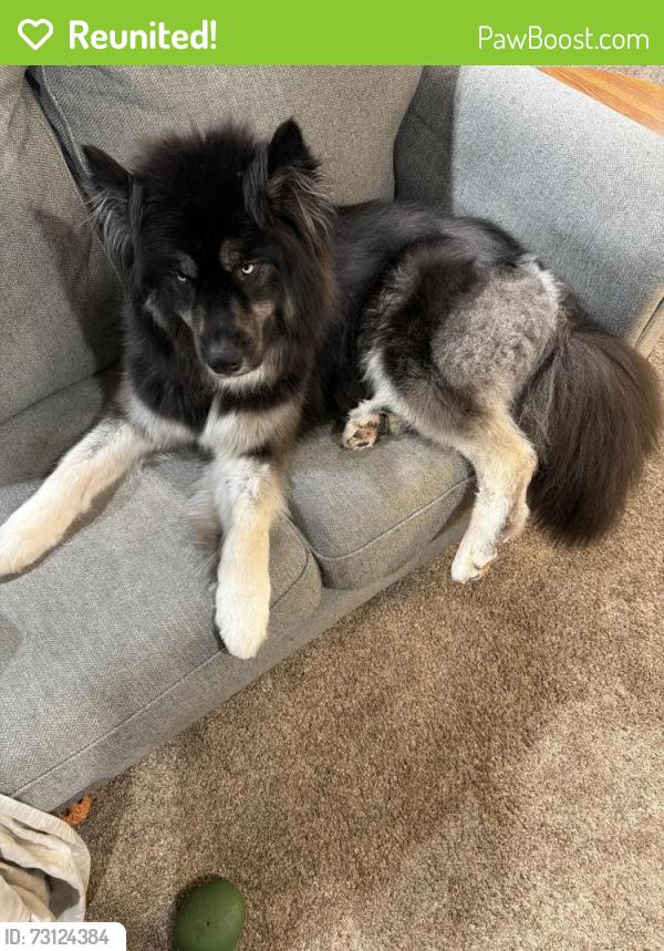 Reunited Male Dog last seen Near Pemberton road, Southampton Township, NJ 08088