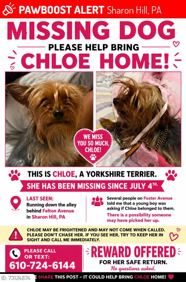 Lost Female Dog last seen Chester pike, Sharon Hill, PA 19079