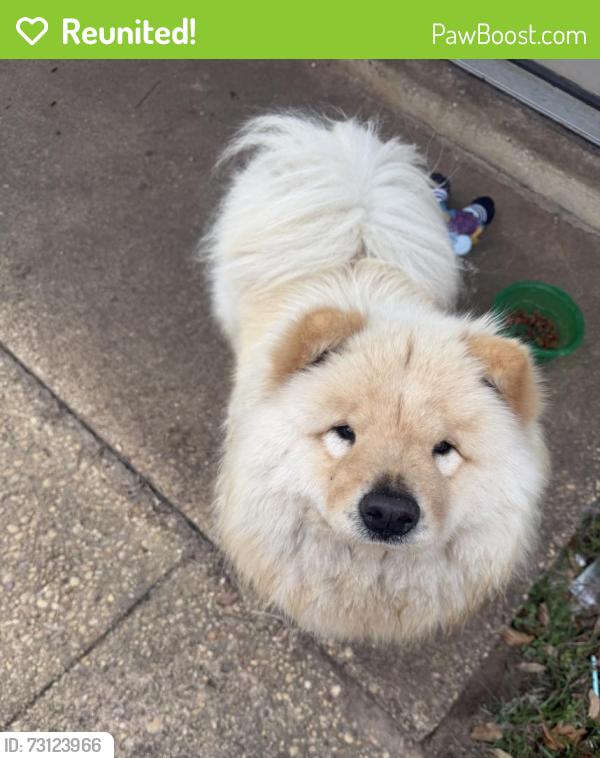 Reunited Female Dog last seen Repoll and hunters ridge, Mobile, AL 36695