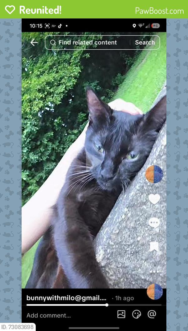 Reunited Unknown Cat last seen Near windsor court new brighton, New Brighton, MN 55112