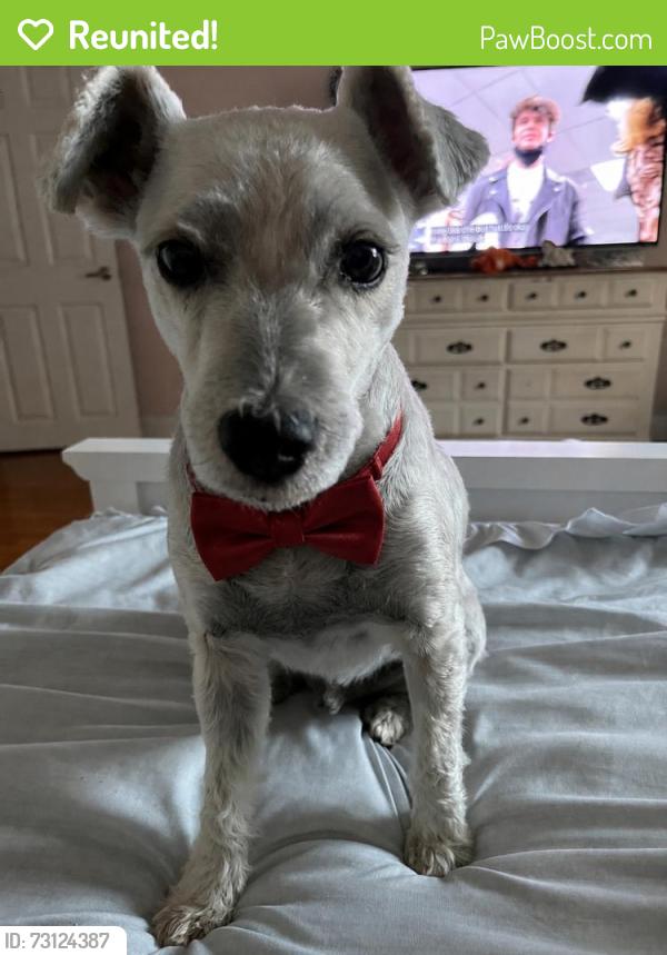 Reunited Male Dog last seen Near E Park Cir Dr, Fresno, CA 93727, USA, Fresno, CA 93727