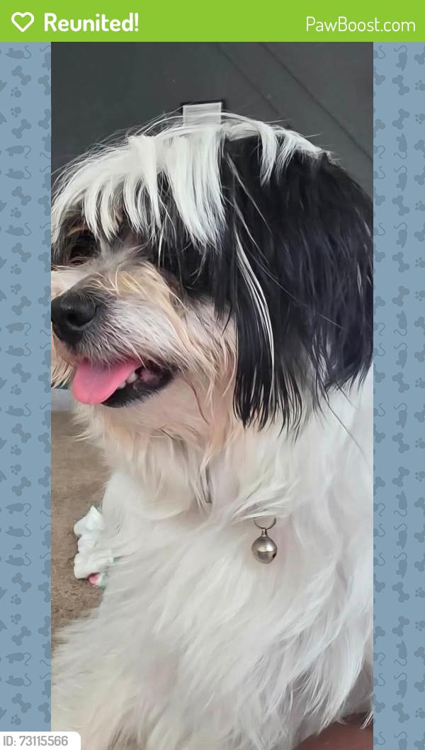 Reunited Female Dog last seen Near Thurman Baccus rd social circle ga 30025, Social Circle, GA 30025