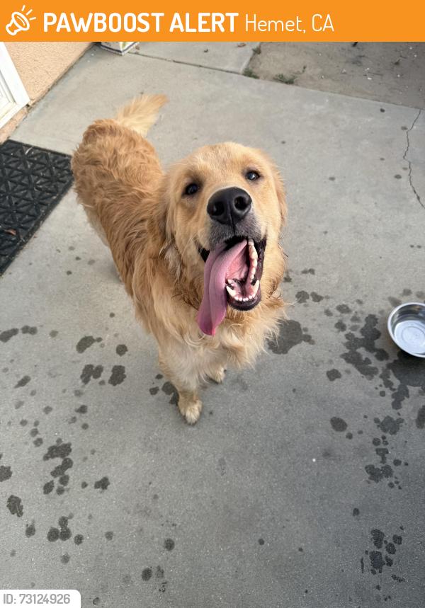 Found/Stray Male Dog last seen Mary Henley park, Hemet, CA 92545