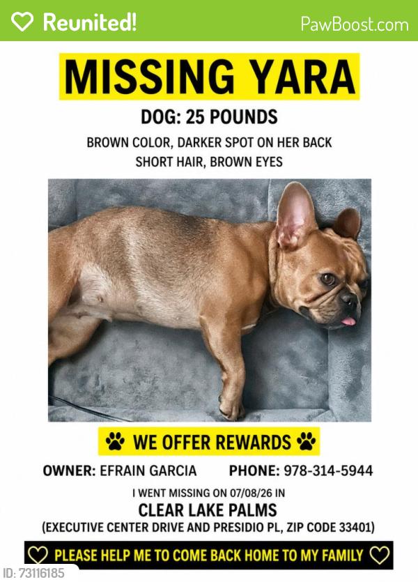 Reunited Female Dog last seen Near Executive Center Dr, West Palm Beach, FL 33401, USA, West Palm Beach, FL 33401