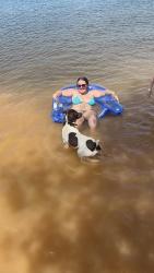 Lost Male Dog last seen Kentucky springs road , Bumpass, VA 23024