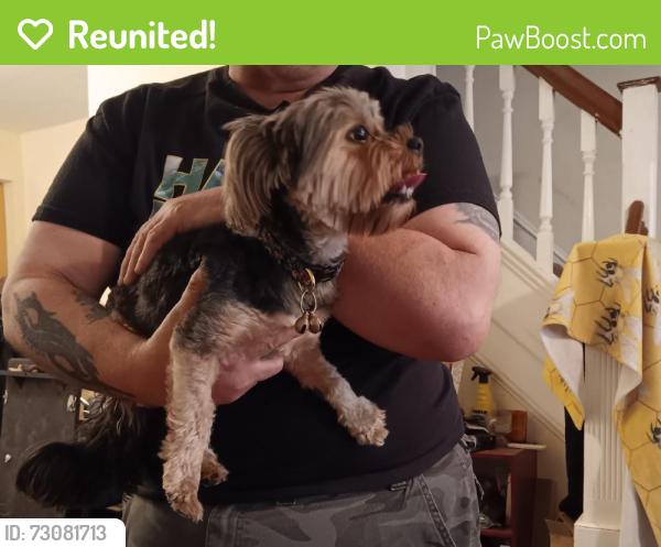 Reunited Female Dog last seen 20-21st mifflin st, Philadelphia, PA 19145
