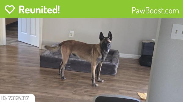 Reunited Male Dog last seen Near Foresteria Avenue, Wellington, FL 33414