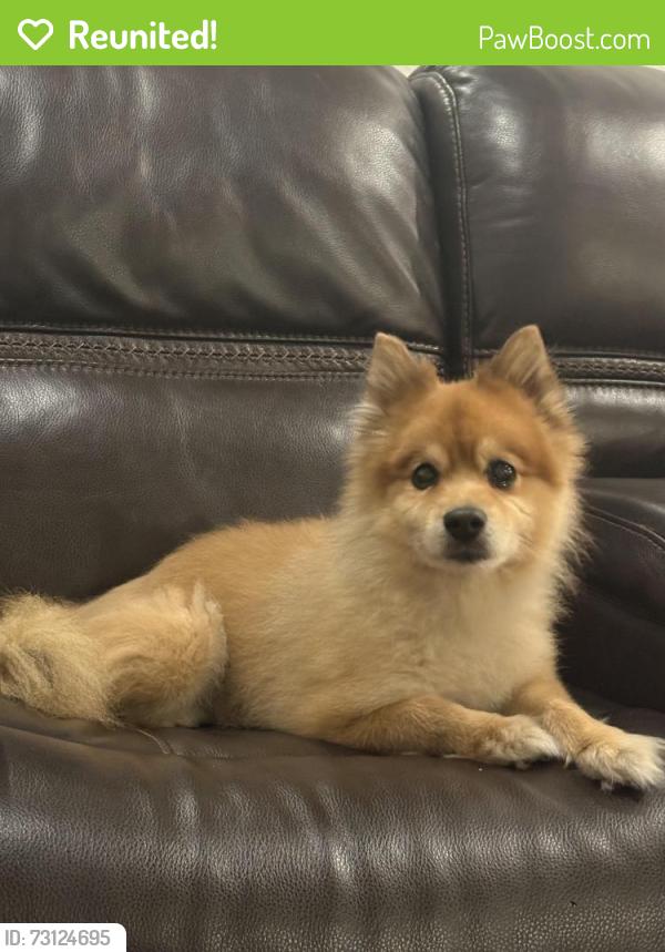 Reunited Male Dog last seen Woodbridge Neighborhood, Schillinger Rd and Cottage Hill, Mobile, AL 36695