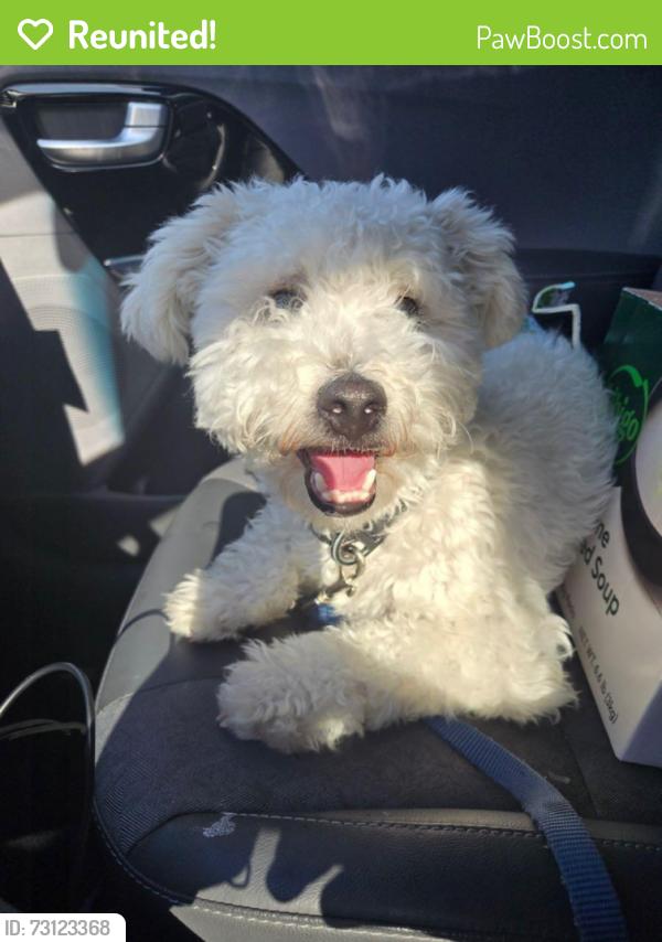 Reunited Male Dog last seen Beach and Rosecrans La Mirada, La Mirada, CA 90638