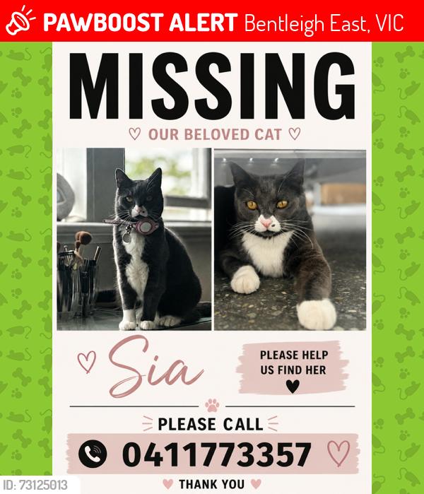 Lost Female Cat last seen Gowrie and Manuka Street, East Bentleigh, Bentleigh East, VIC 3165