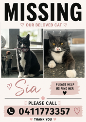 Lost Female Cat last seen Gowrie and Manuka Street, East Bentleigh, Bentleigh East, VIC 3165