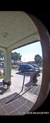 Lost Male Dog last seen Outside in front of my yard, Bell Gardens, CA 90201