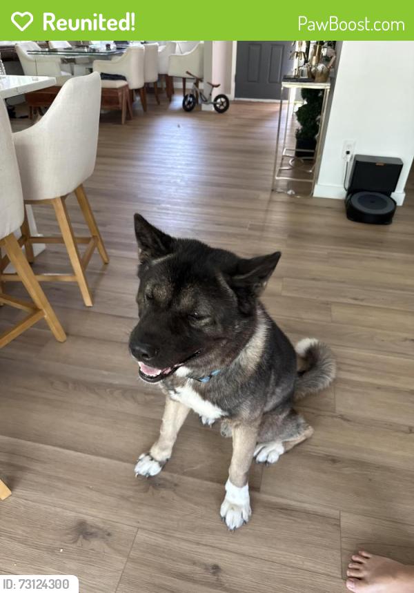 Reunited Male Dog last seen Universal Studios Resort, Orlando, FL 32819