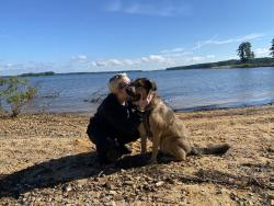 Reunited Male Dog last seen my hse, Fayetteville, NC 28304