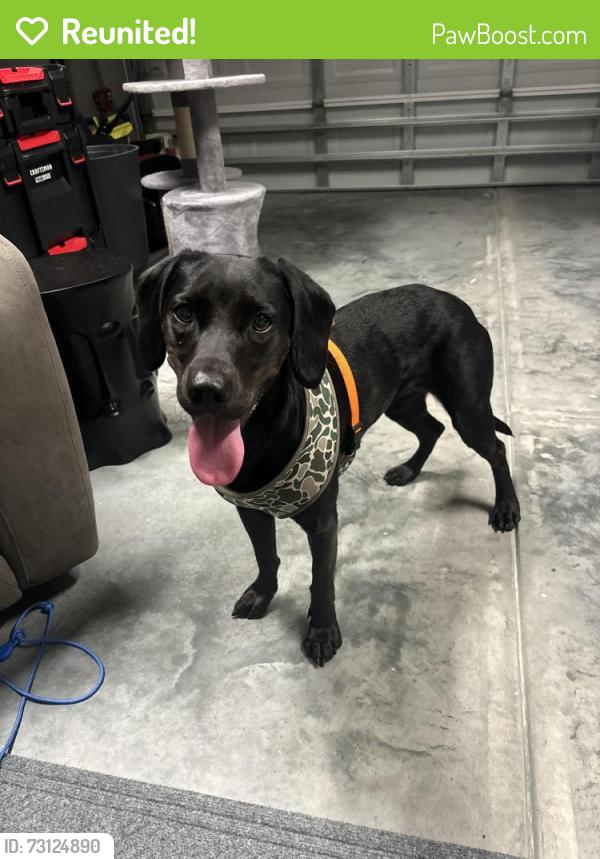 Reunited Female Dog last seen Arrowhead golf course, Myrtle Beach, SC 29579
