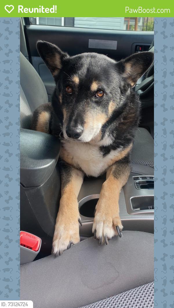 Reunited Male Dog last seen Saint Mary’s Catholic Church parking lot, Shelby, NC 28150