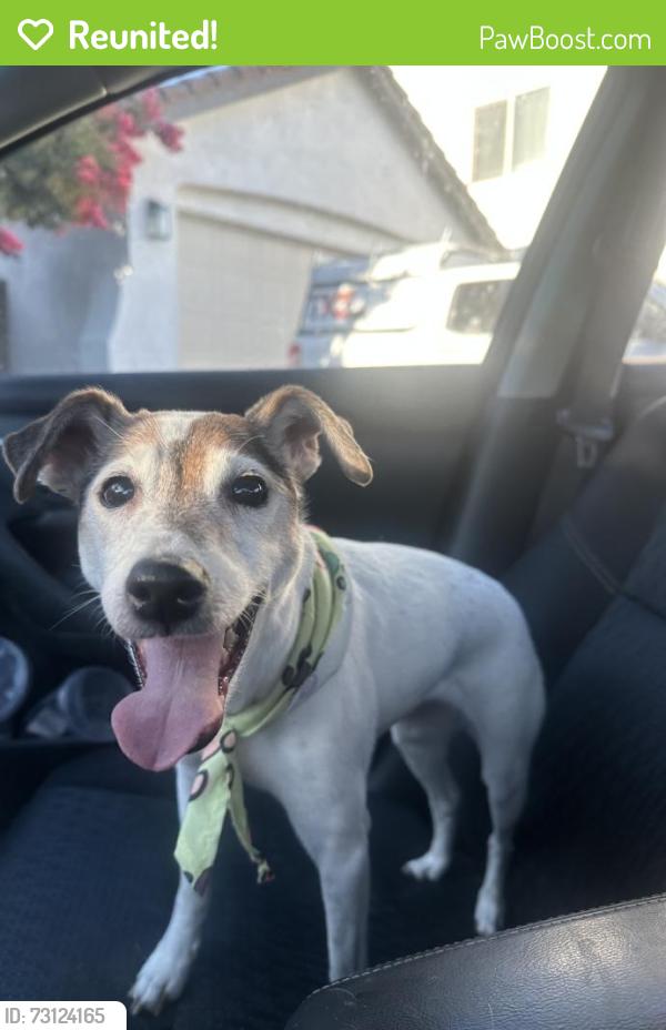 Reunited Female Dog last seen Blue oaks Woodcreek, Roseville, CA 95747