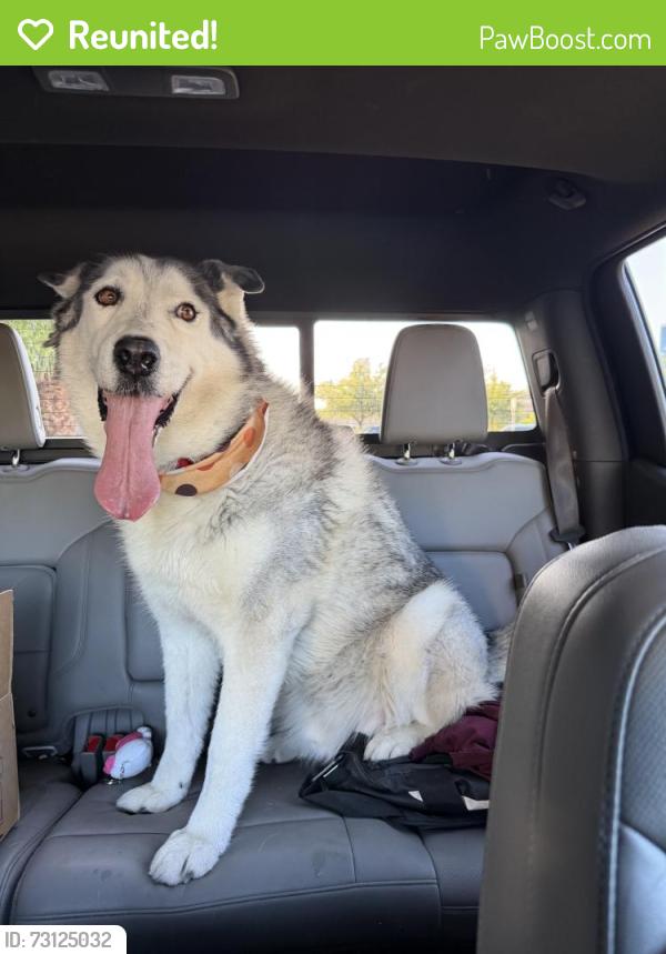 Reunited Unknown Dog last seen Tropicana Ave, Las Vegas Valley, NV, USA, Las Vegas Valley, NV 89103