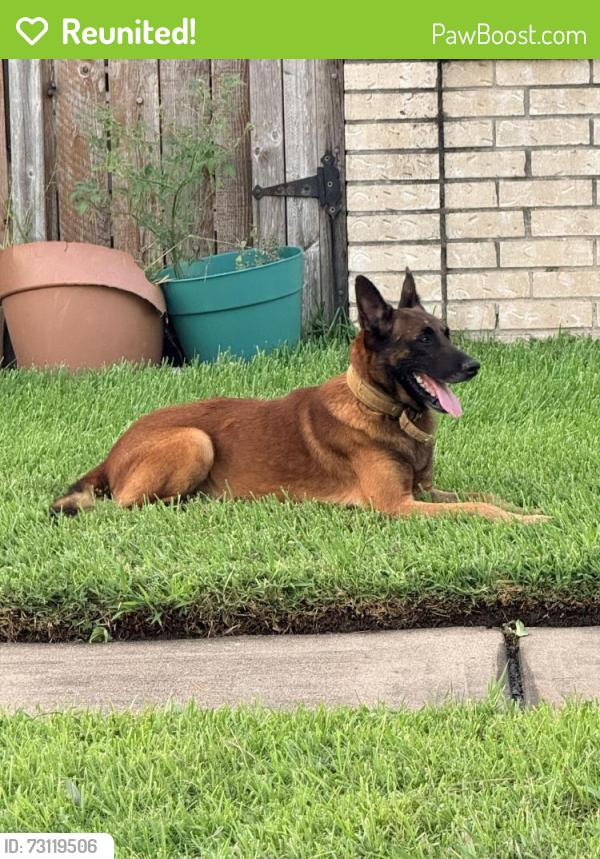 Reunited Unknown Dog last seen Kittybrook & Redgate Circle, Houston, TX 77071