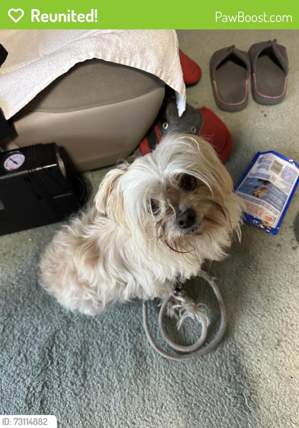 Reunited Male Dog last seen Buchanan Park, Oceanside off College Blvd, Oceanside, CA 92057