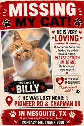 Lost Male Cat last seen Near Bluebonnet Ln, Mesquite, TX 75149