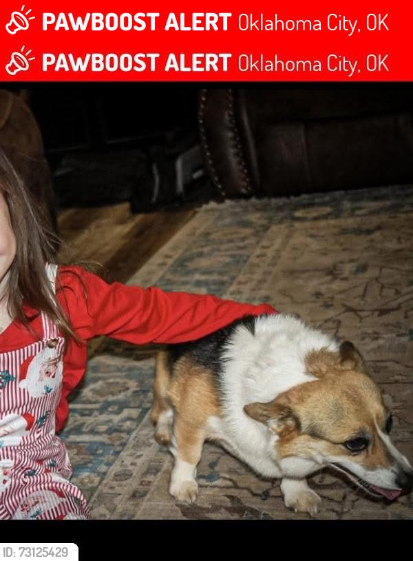 Lost Female Dog last seen On S Post Rd inbetween 59th and 74th, Oklahoma City, OK 73150
