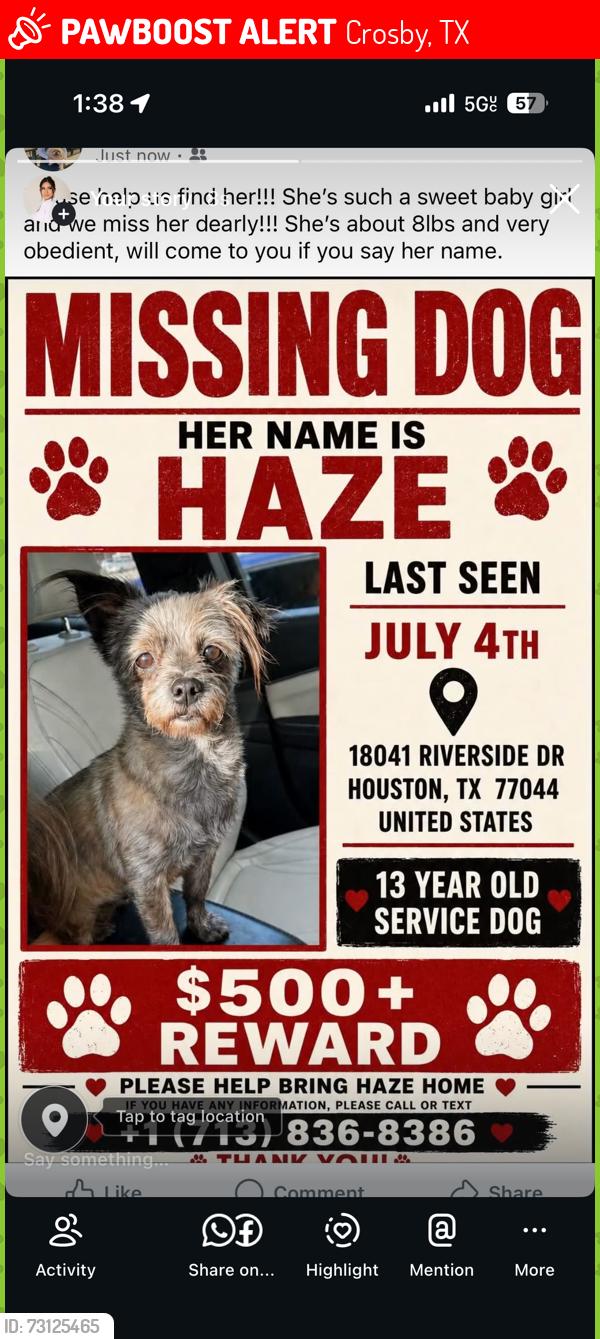 Lost Female Dog last seen Mudding place, Crosby, TX 77532