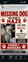 Lost Female Dog last seen Mudding place, Crosby, TX 77532