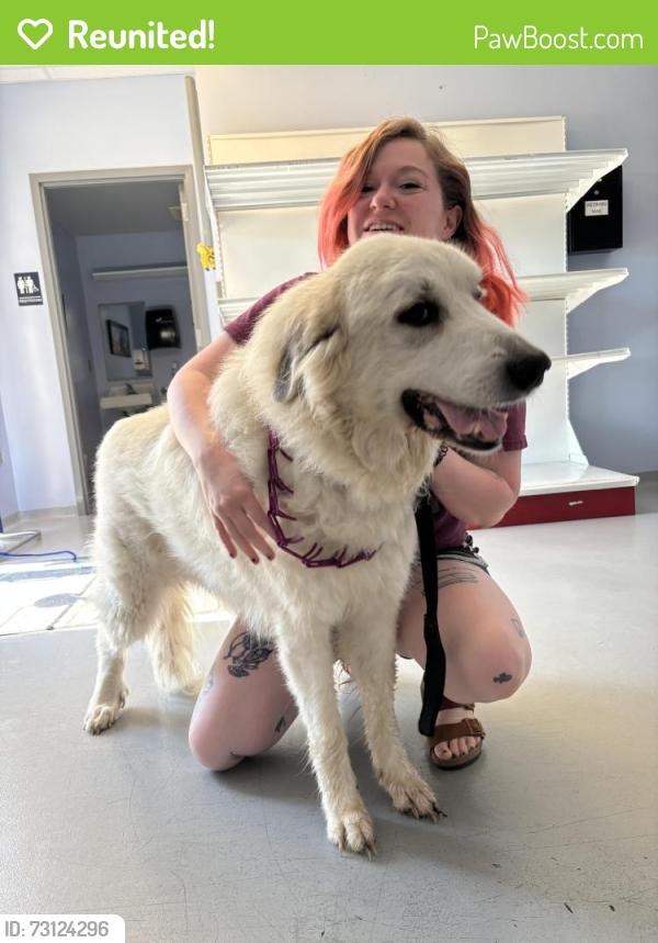 Reunited Female Dog last seen 18th and Oakley, Topeka, KS 66604