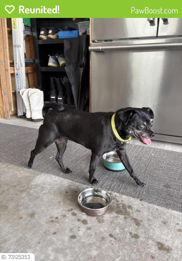 Reunited Unknown Dog last seen Near Canterbury Ln, Bourbonnais, IL 60914, USA, Bourbonnais, IL 60914