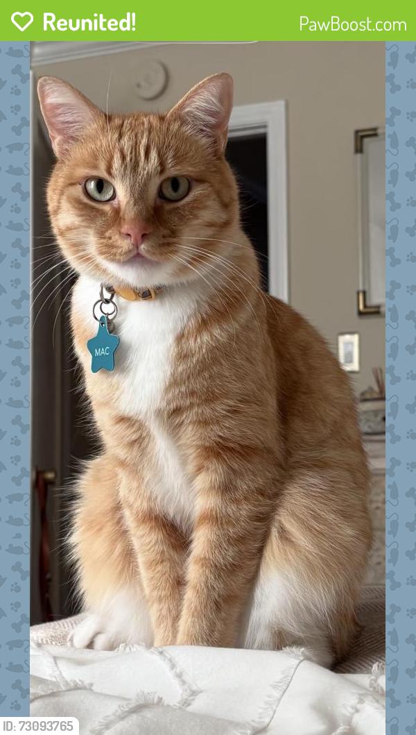 Reunited Male Cat last seen Ione & Avalon, Sacramento, CA 95864
