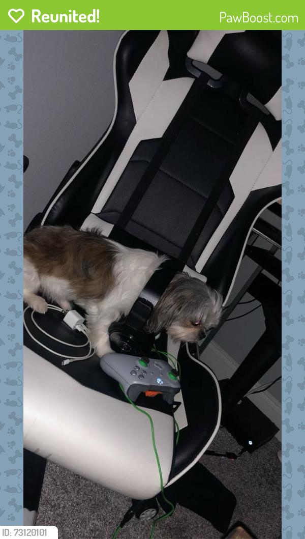 Reunited Male Dog last seen Ocean buffet/Michels/Crunch Fitness, Waco, TX 76710
