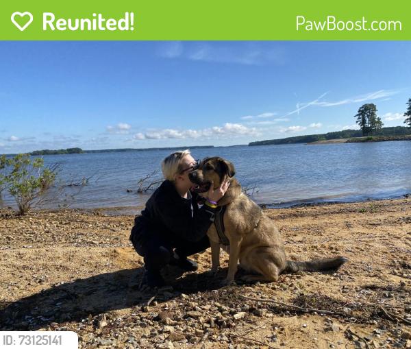 Reunited Male Dog last seen my hse, Fayetteville, NC 28304