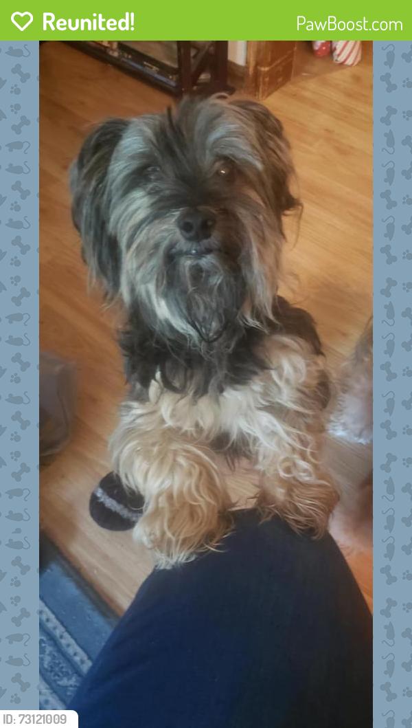 Reunited Male Dog last seen Waterview Road off of S Western Ave, Oklahoma City, OK 73170