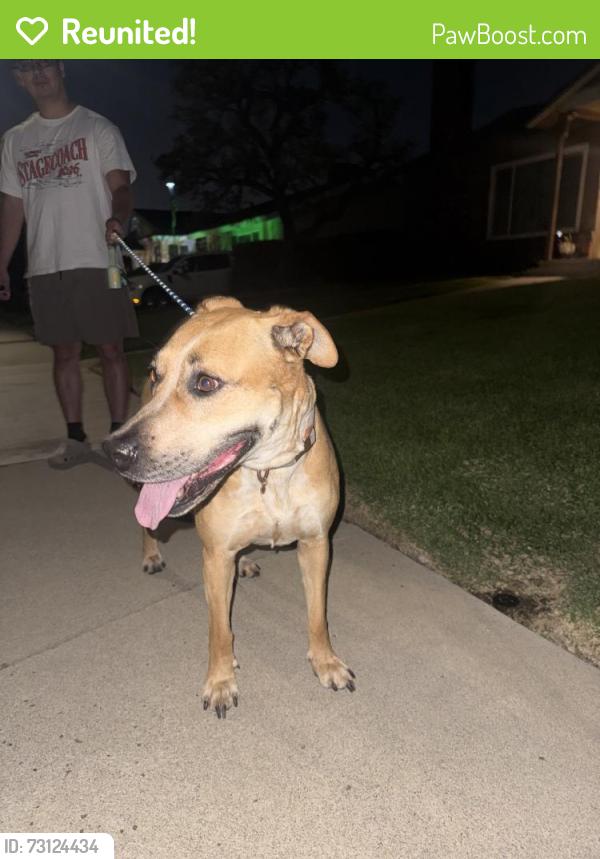 Reunited Female Dog last seen Near E Grovecenter St, Covina, CA 91724, USA, Covina, CA 91724