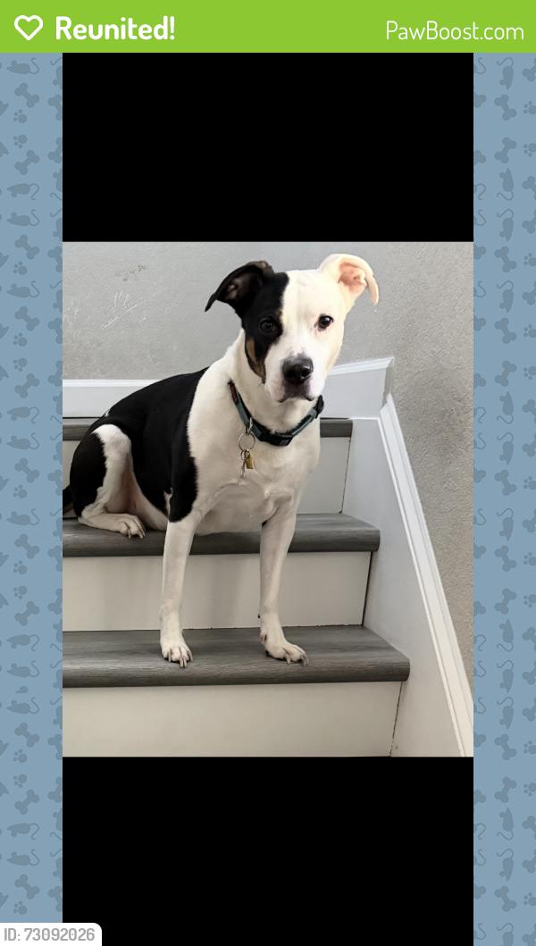 Reunited Male Dog last seen Palem Rd, Philpotts Rd, Norfolk, VA 23513