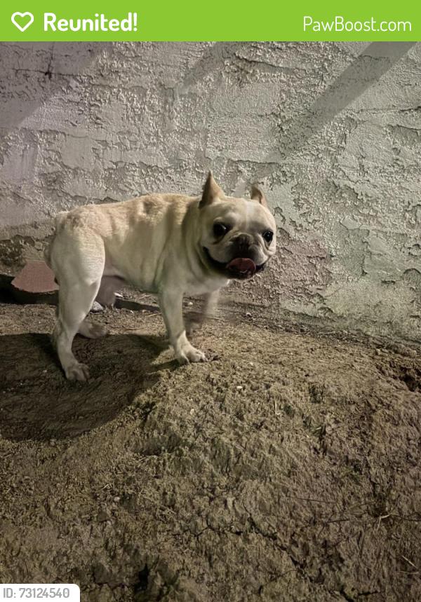 Reunited Male Dog last seen Innsdale and worthington, La Presa, CA 91977