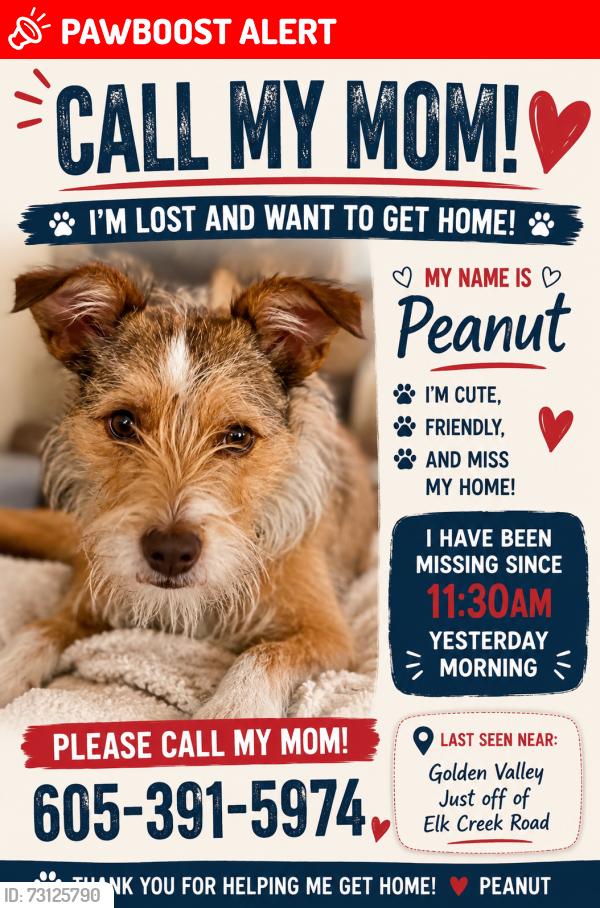 Lost Female Dog last seen Golden Valley Drive, Southwest Meade, SD 57769