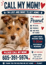 Lost Female Dog last seen Golden Valley Drive, Southwest Meade, SD 57769