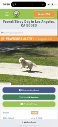 Reunited Male Dog last seen Lorraine, Los Angeles, CA 90020