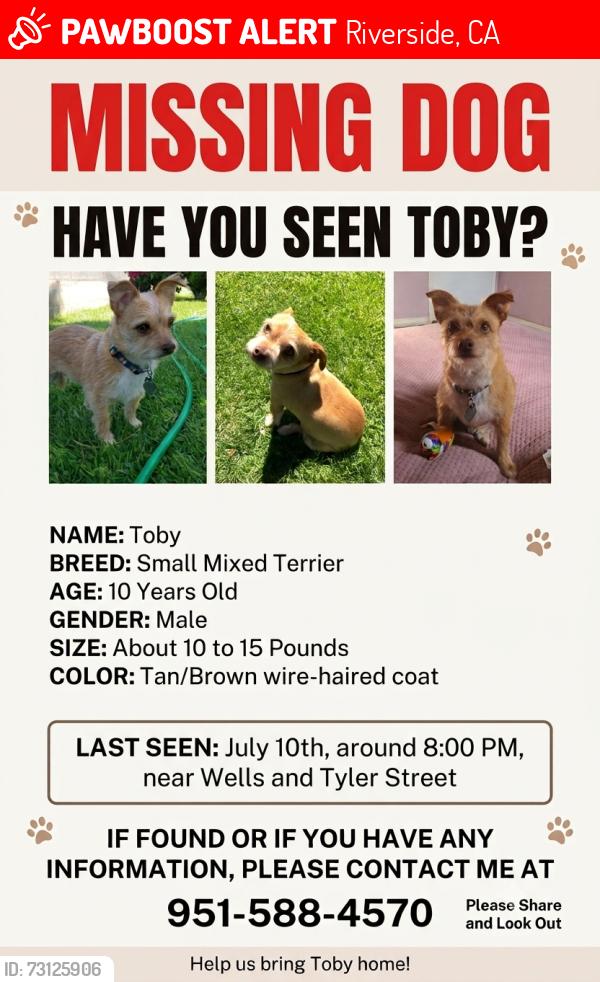 Lost Male Dog last seen Wells and tyler st, Riverside, CA 92503