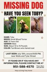 Lost Male Dog last seen Wells and tyler st, Riverside, CA 92503