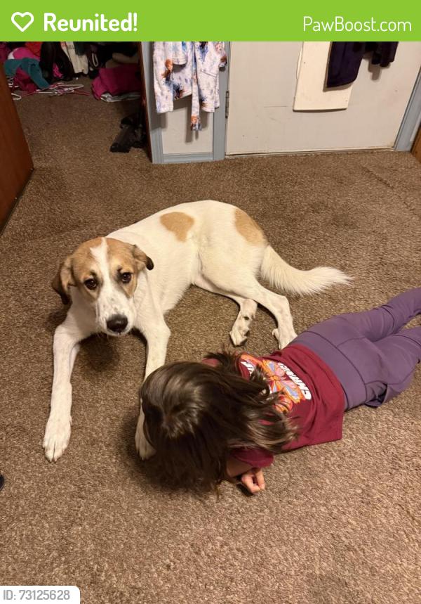 Reunited Male Dog last seen Antonio Dr, Helotes, TX 78023