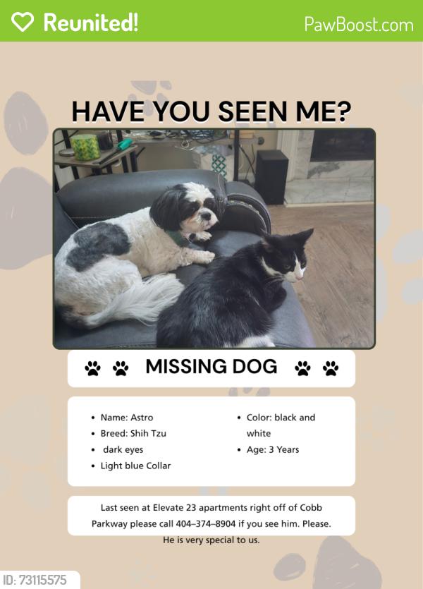 Reunited Male Dog last seen Elevate 23 apmts off Cobb Parkway, Smyrna, GA 30080