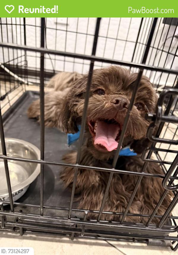 Reunited Male Dog last seen Near w encanto blvd, Phoenix, AZ 85037