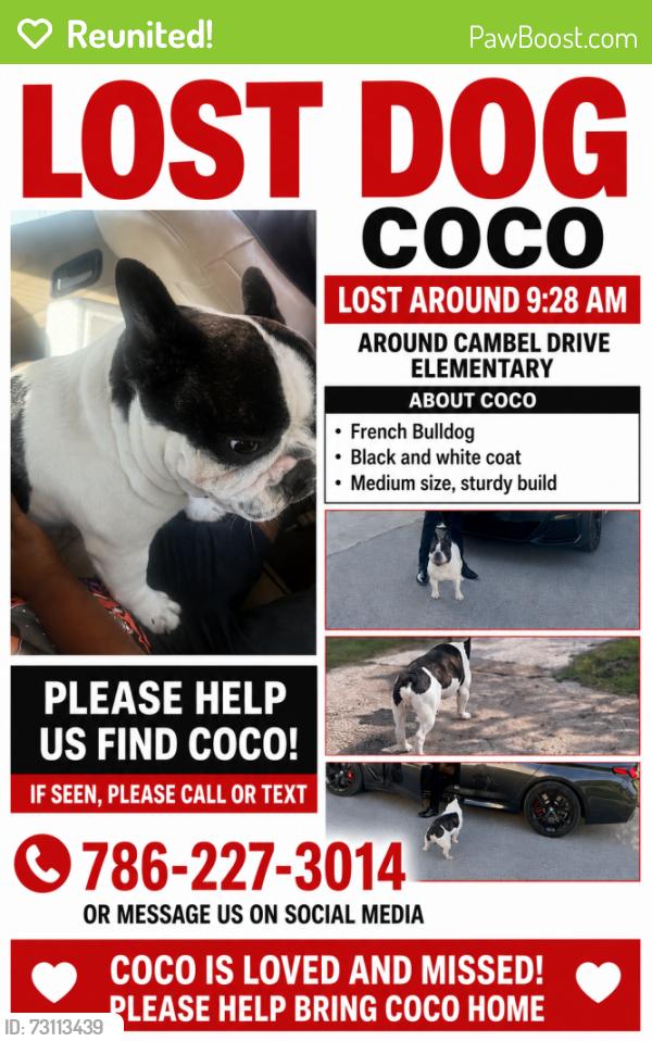 Reunited Male Dog last seen Exit 2, Homestead, FL 33033