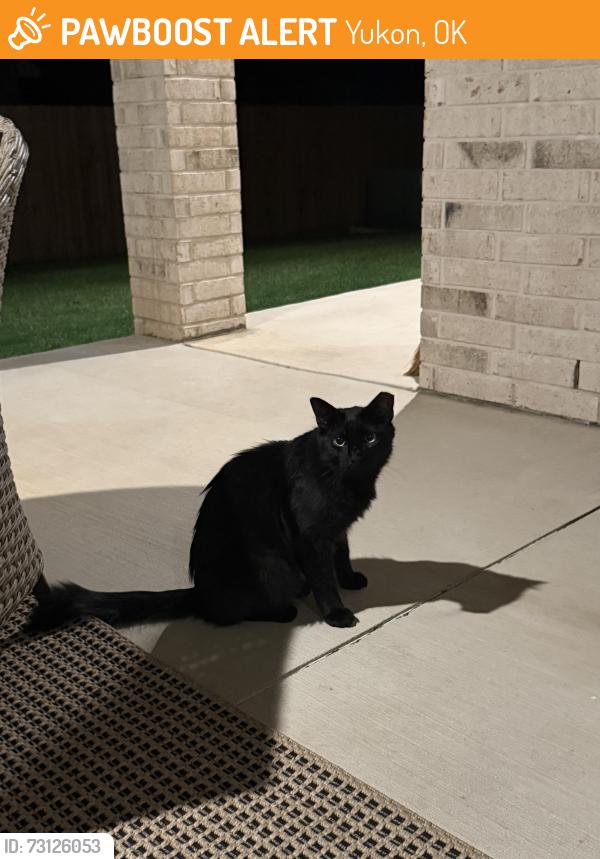 Found/Stray Unknown Cat last seen Kilpatrick and Wilshire, Yukon, OK 73099